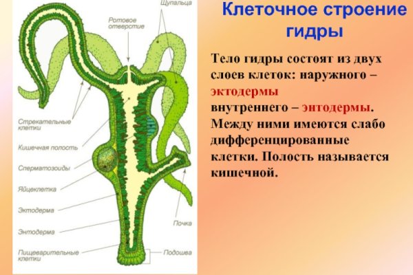 Кракен ссылка на сайт com