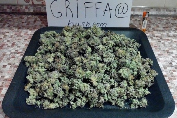 Как зайти на кракен тор