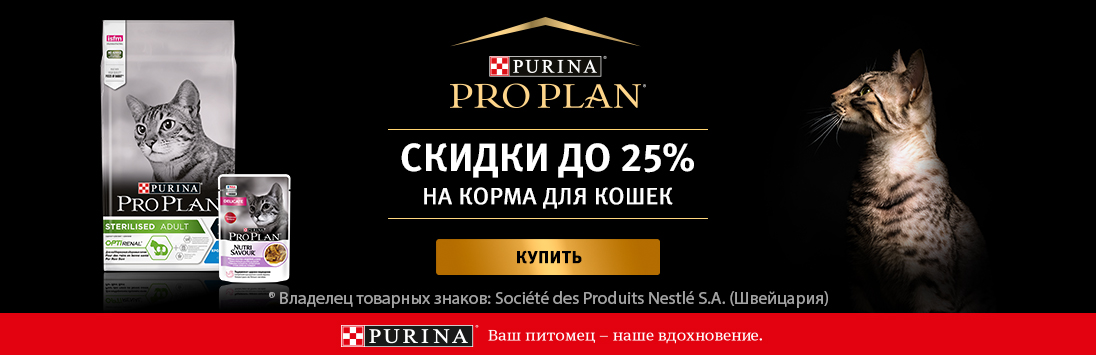 Кракен официальный